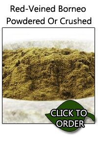 Red-Veined Borneo Kratom